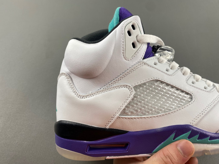 Air Jordan 5 Retro